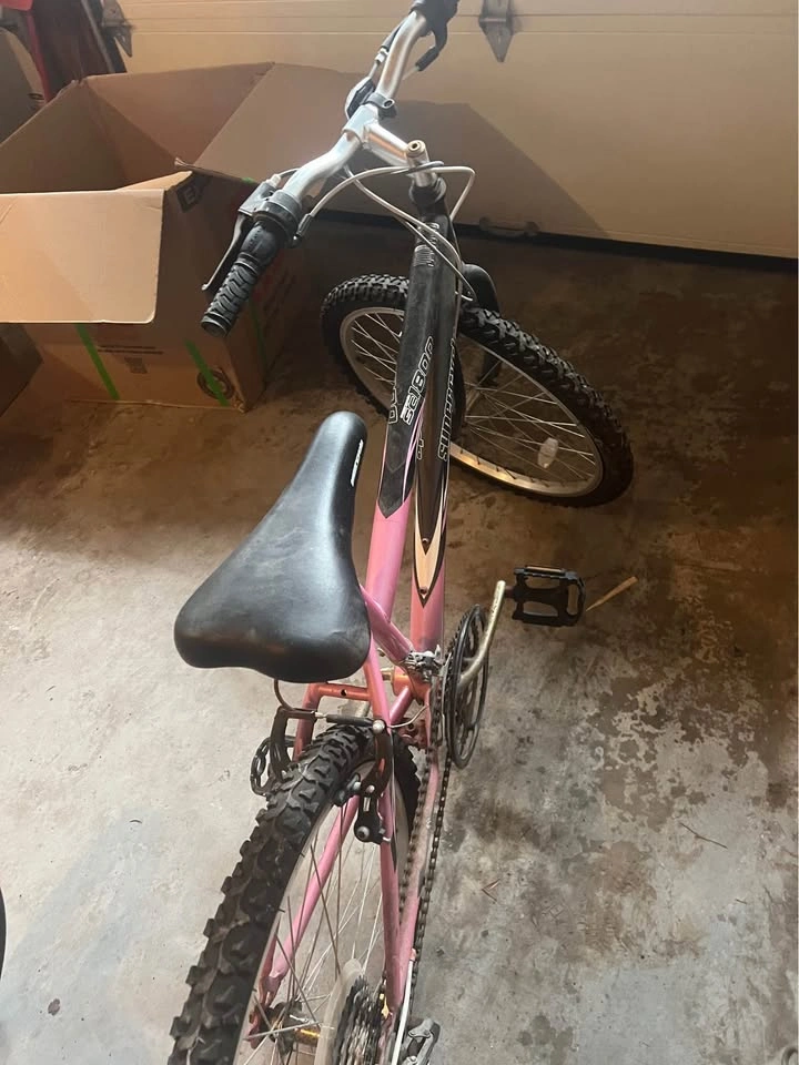 24” Kids Bicycle - Black & Pink - photo 5