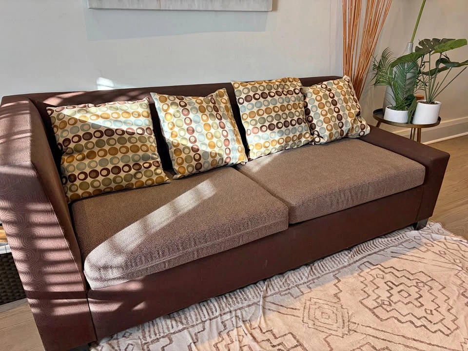 Couch with pull out bed and mattress