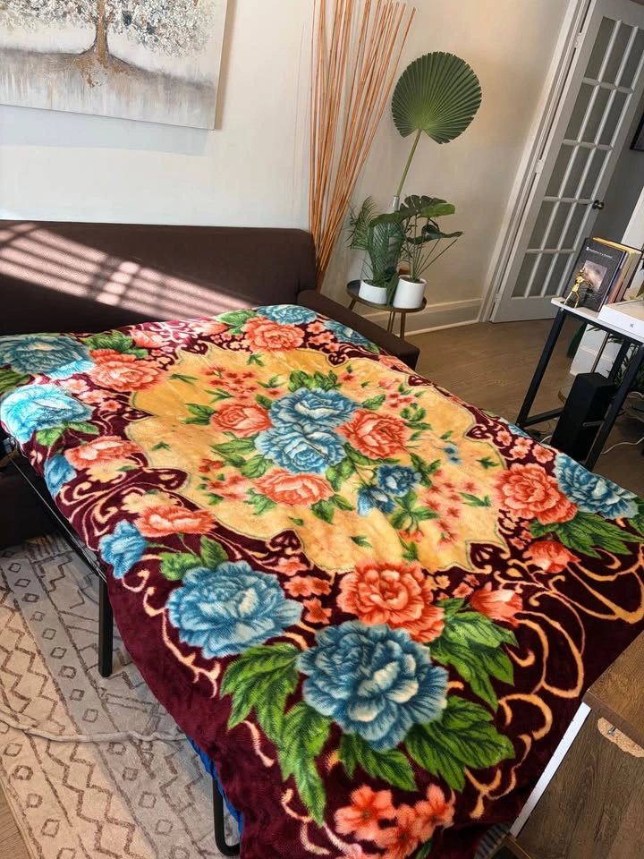 Couch with pull out bed and mattress - photo 2