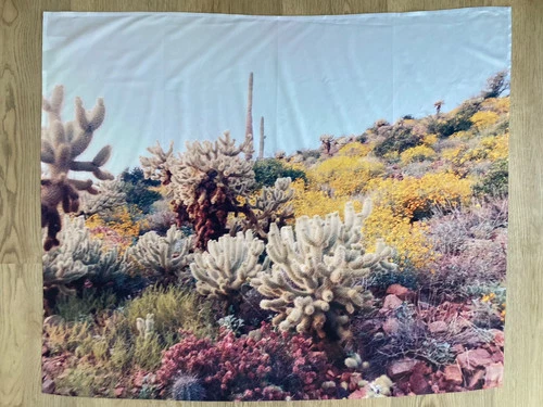 Kevin Russ "Arizona Color" Tapestry - photo 2