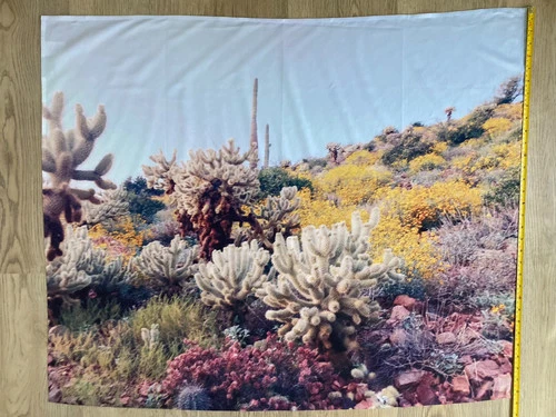 Kevin Russ "Arizona Color" Tapestry - photo 3