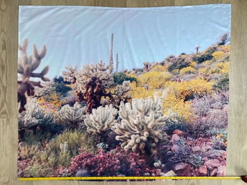 Kevin Russ "Arizona Color" Tapestry - photo 4