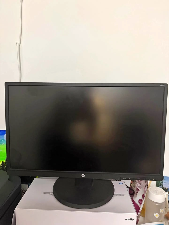 HP Monitor