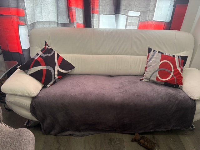 Leather Couches - photo 5