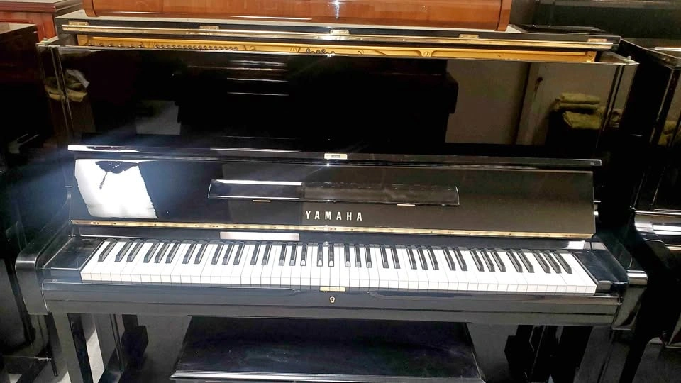 Piano tuner