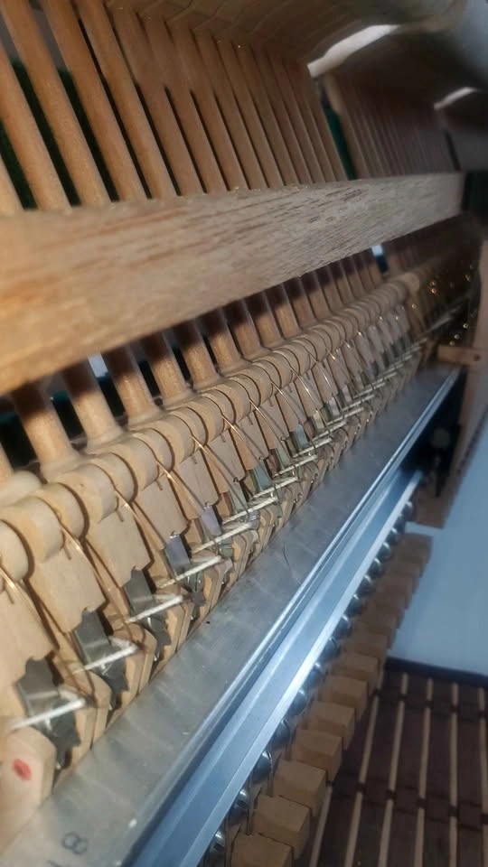 Piano tuner - photo 4