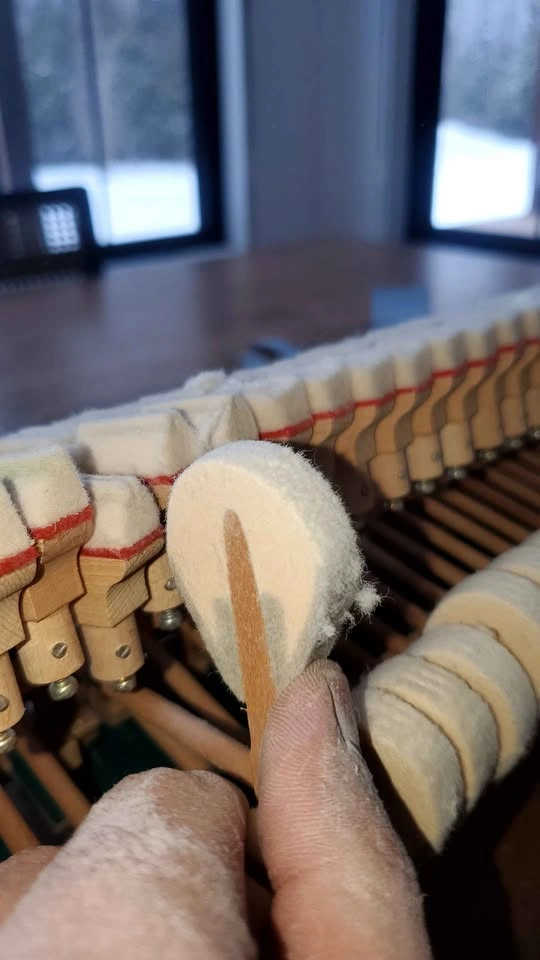 Piano tuner - photo 5