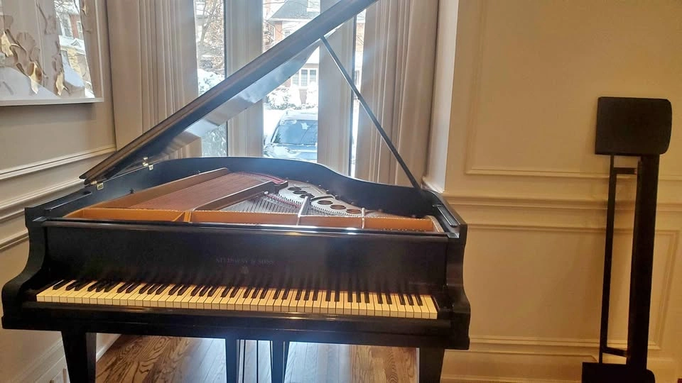 Piano pro tuner/tuning