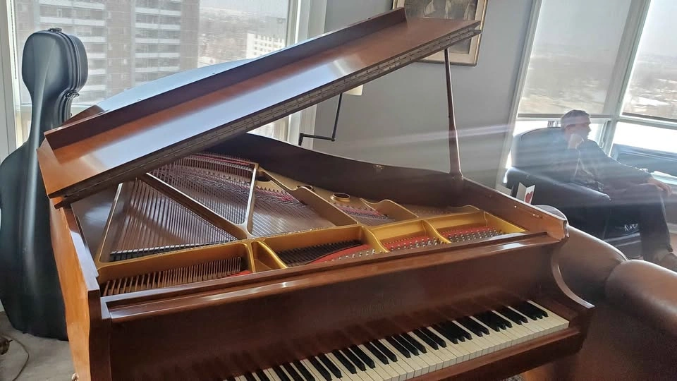Piano pro tuner/tuning - photo 4