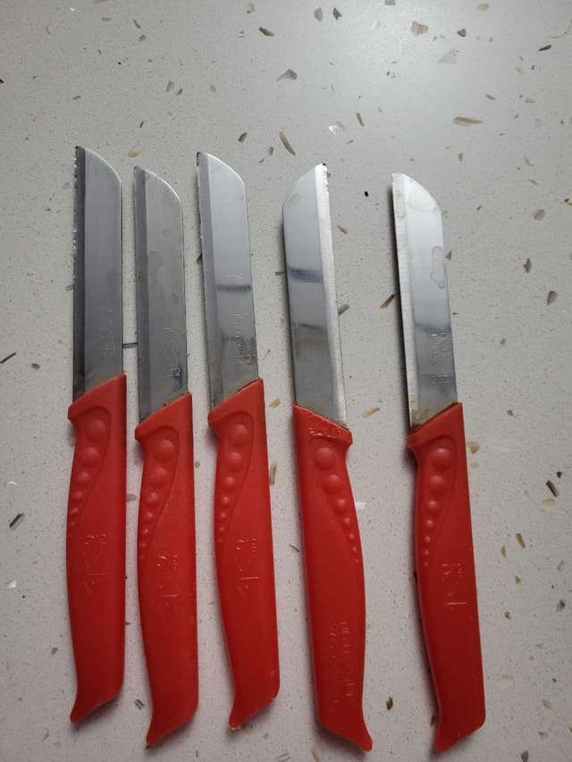 INOX Steak Knives