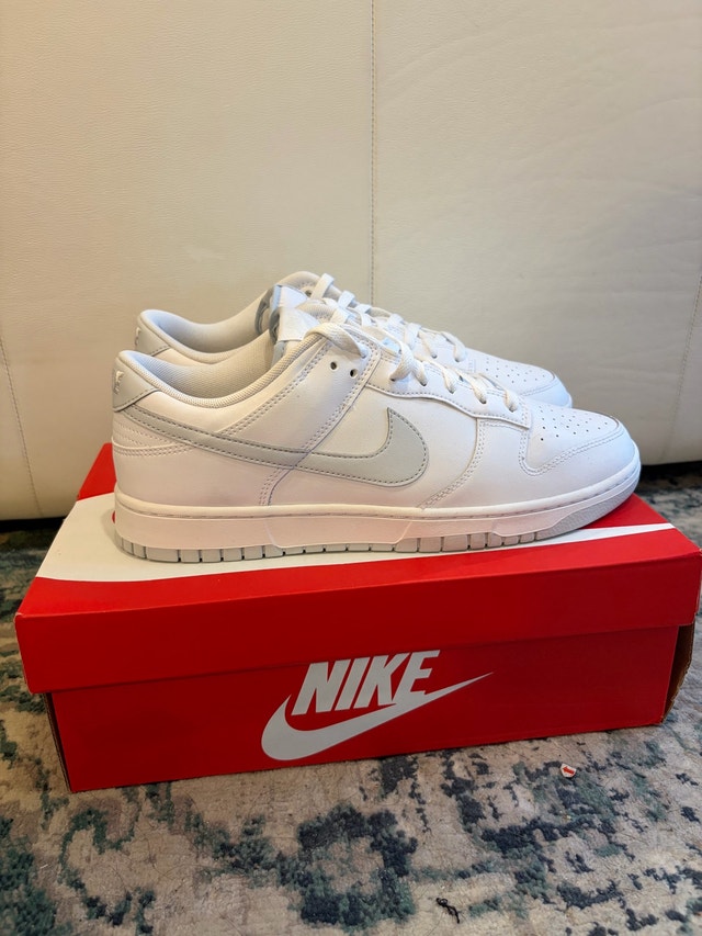 Nike Pure Platinum Dunks Size 12