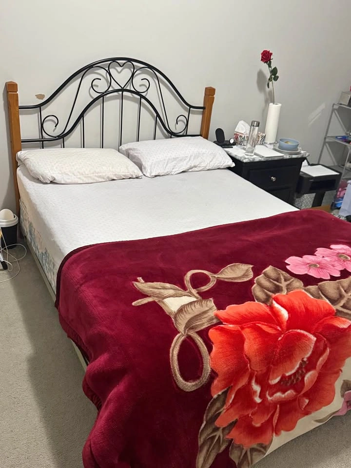 Double Size Bed with Mattress