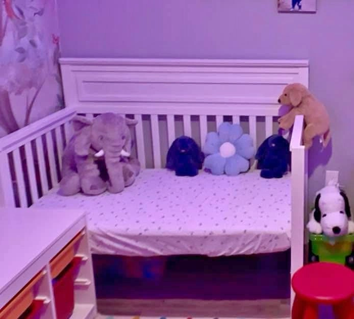 Convertible Crib + Mattress - Excellent Condition (West Coast Ki