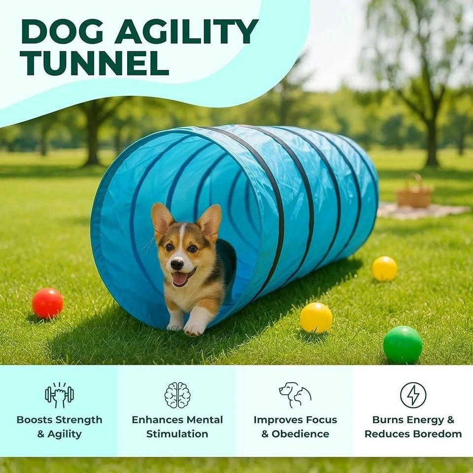 NEW 2-in-1 Pet Training Tunnel & Tent - photo 3