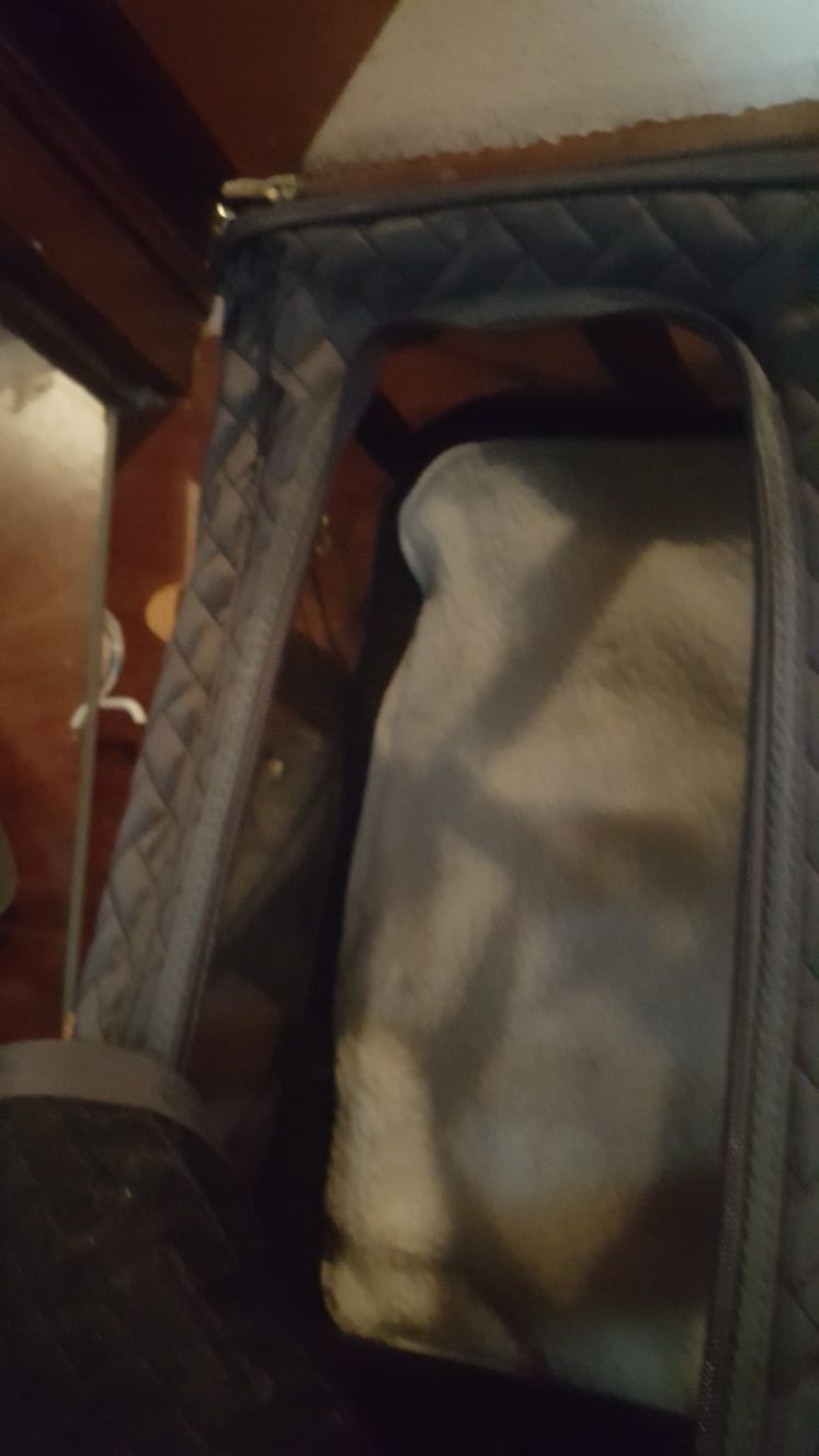 Pet carrier - photo 2