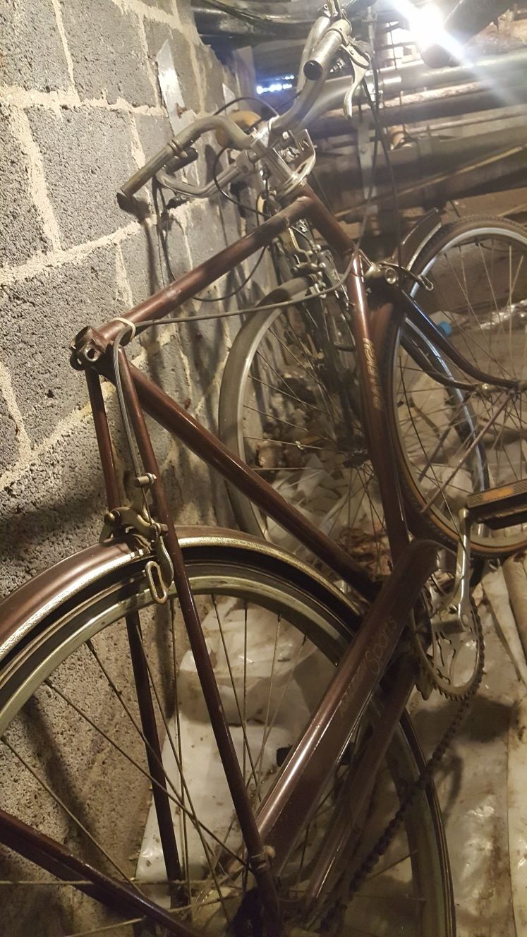Vintage Schwinn Bicycle