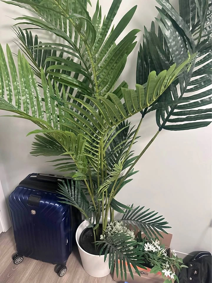 Moving Out Sale – Decorative Plant in Pot