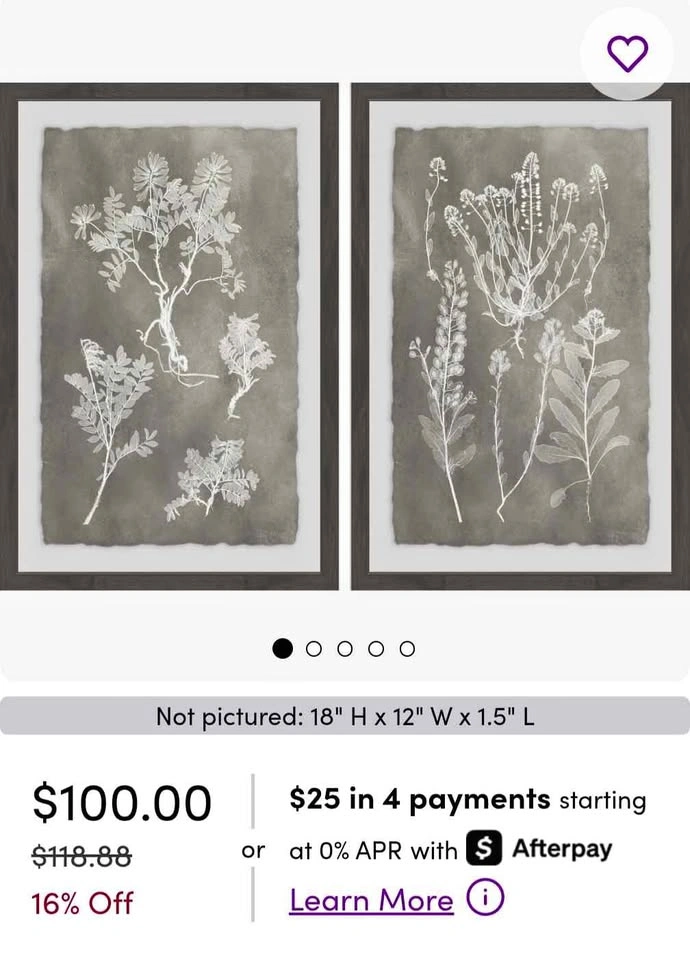 Wayfair Plant Design Wall Decor Frames