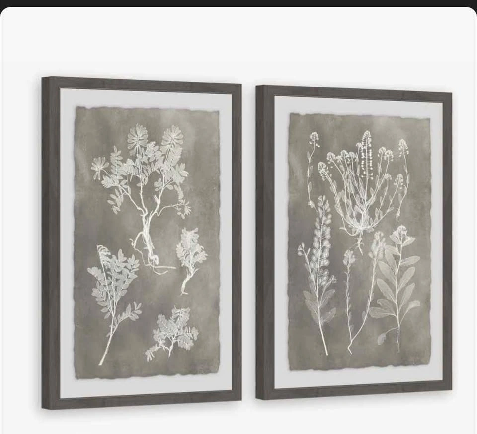 Wayfair Plant Design Wall Decor Frames - photo 2
