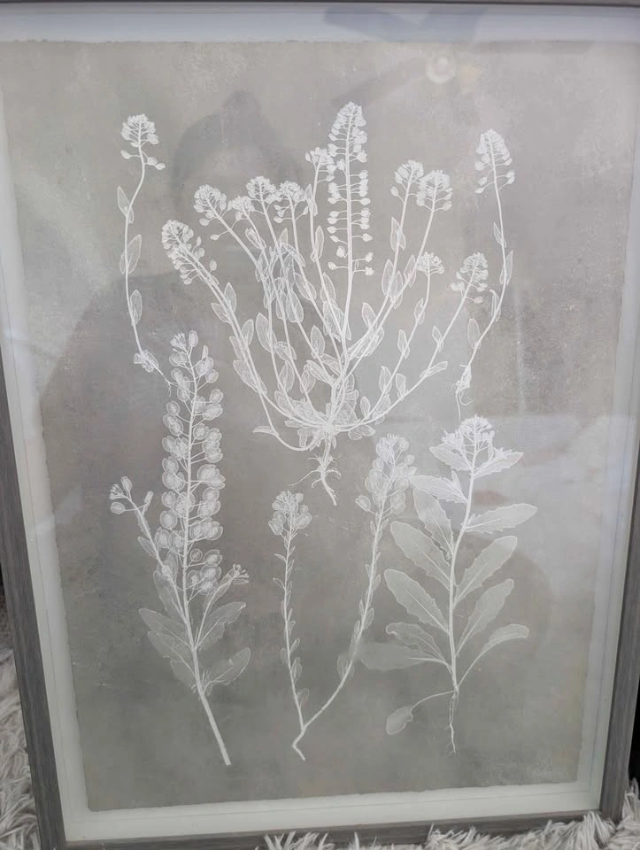 Wayfair Plant Design Wall Decor Frames - photo 5