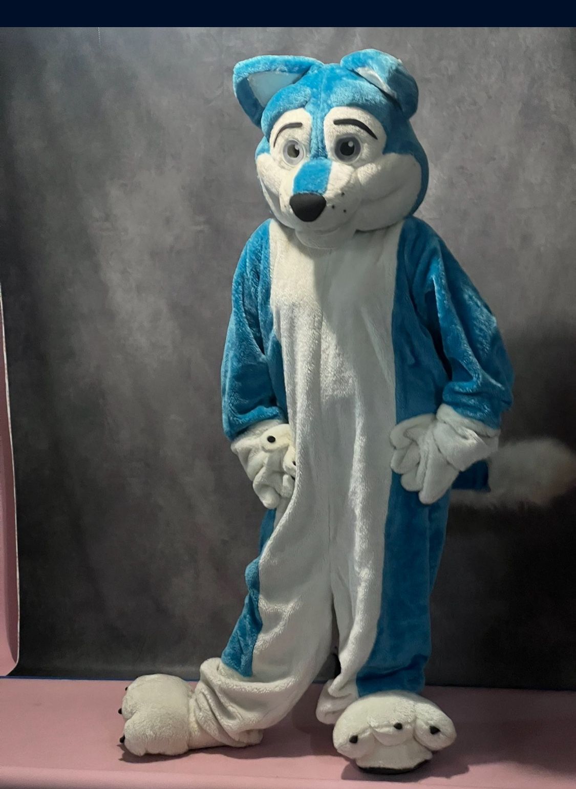 Blue Wolf Costume for Adults - photo 4