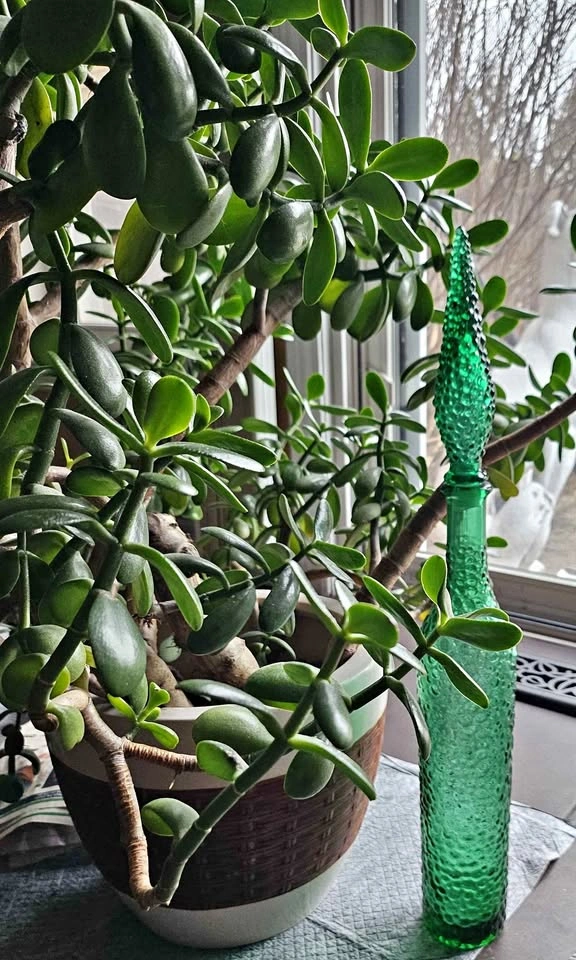 Empoli Green Hobnail Genie Bottle - Cadmium Glow
