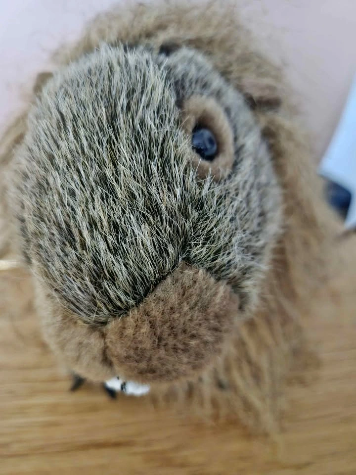 Wild Republic Porcupine