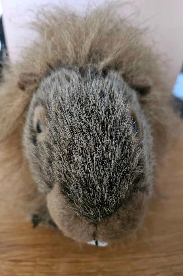 Wild Republic Porcupine - photo 2
