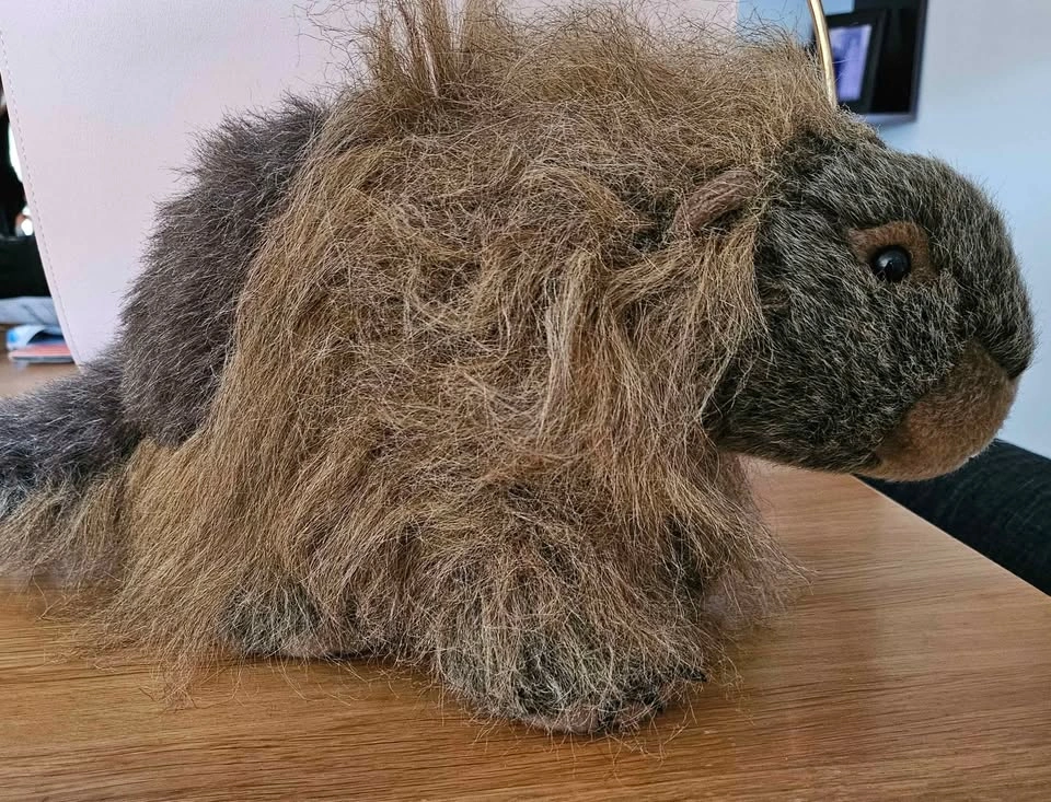 Wild Republic Porcupine - photo 3