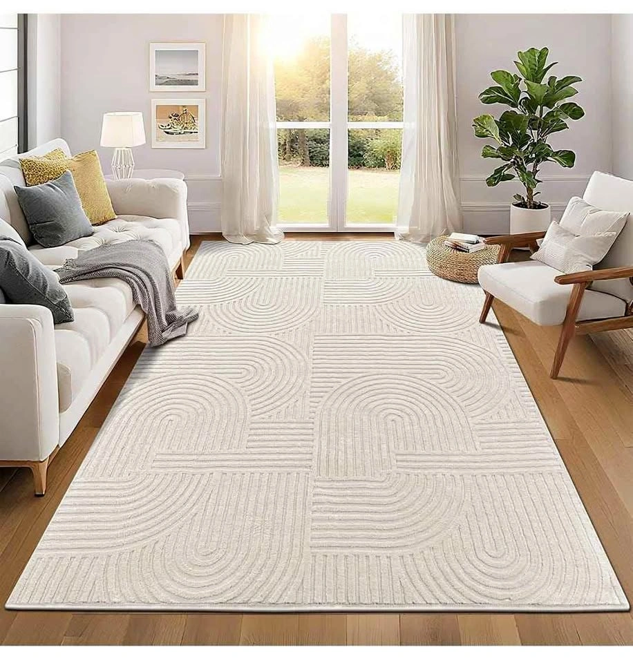 Area Rug 6x9 for Living Room - Washable, Non-Slip