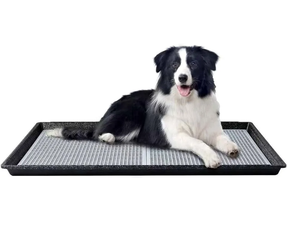 Dog Pee Pad Holder Tray with Grate 34”×23” thumbnail