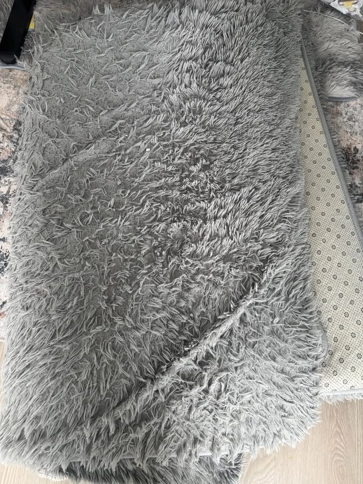 Used Living Room Rug 7*10 - photo 2