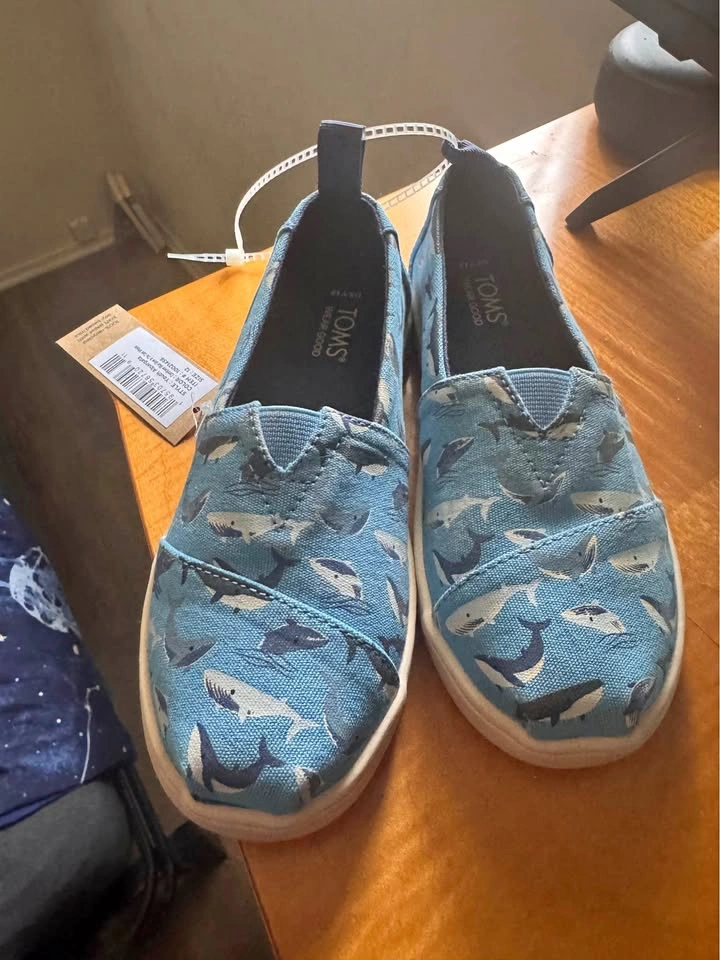 Boys Toms shoes size 12