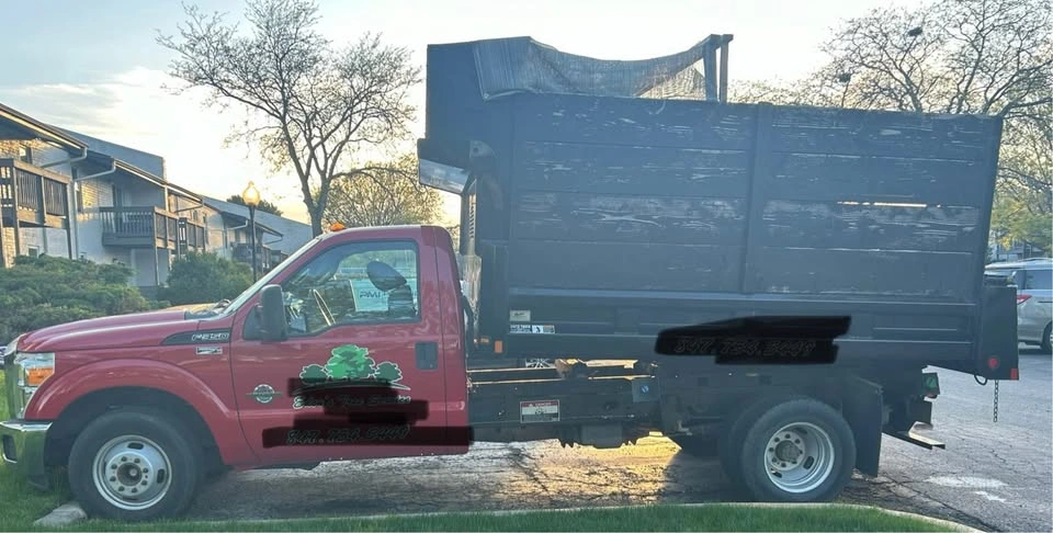 2015 Ford F350 Super Duty Regular Cab XL Pickup - photo 3