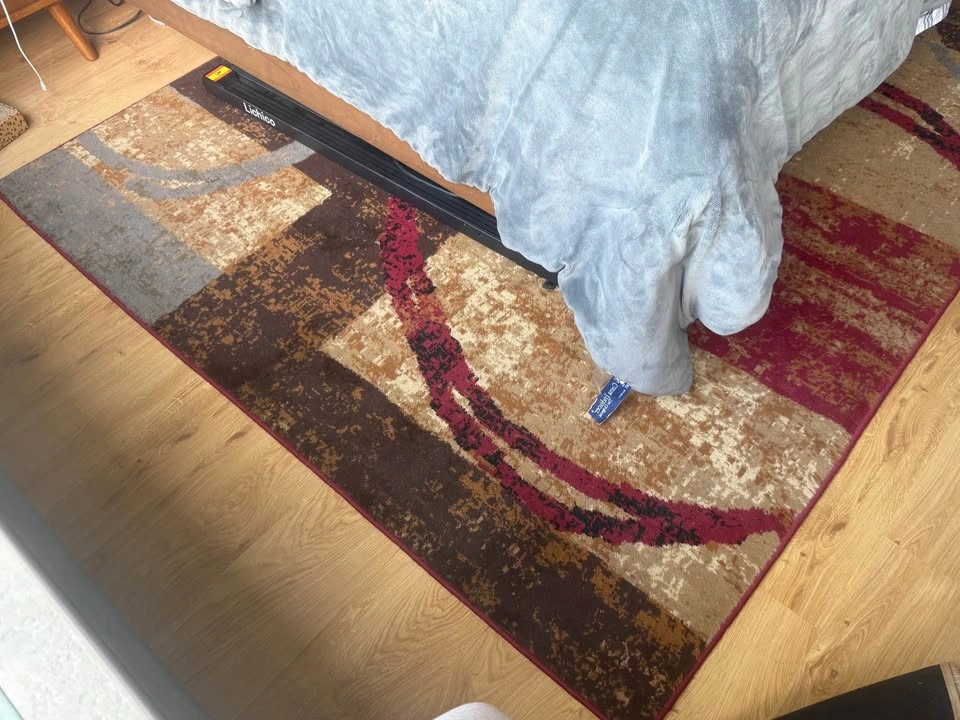 2 Area rugs - photo 4