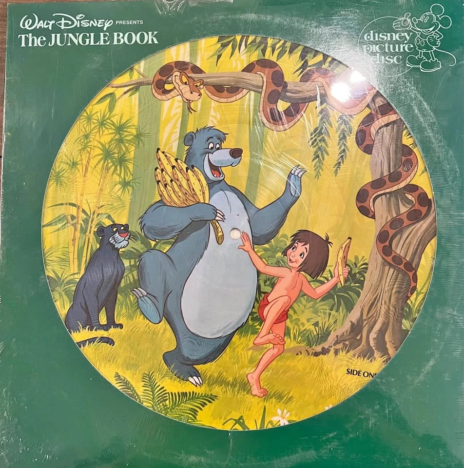 Vintage Disney Picture Disc Vinyl - So Cool!