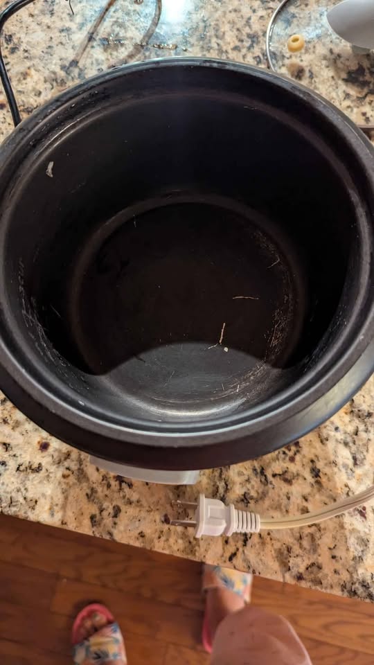 Rice Cooker (3 Cups) - photo 2