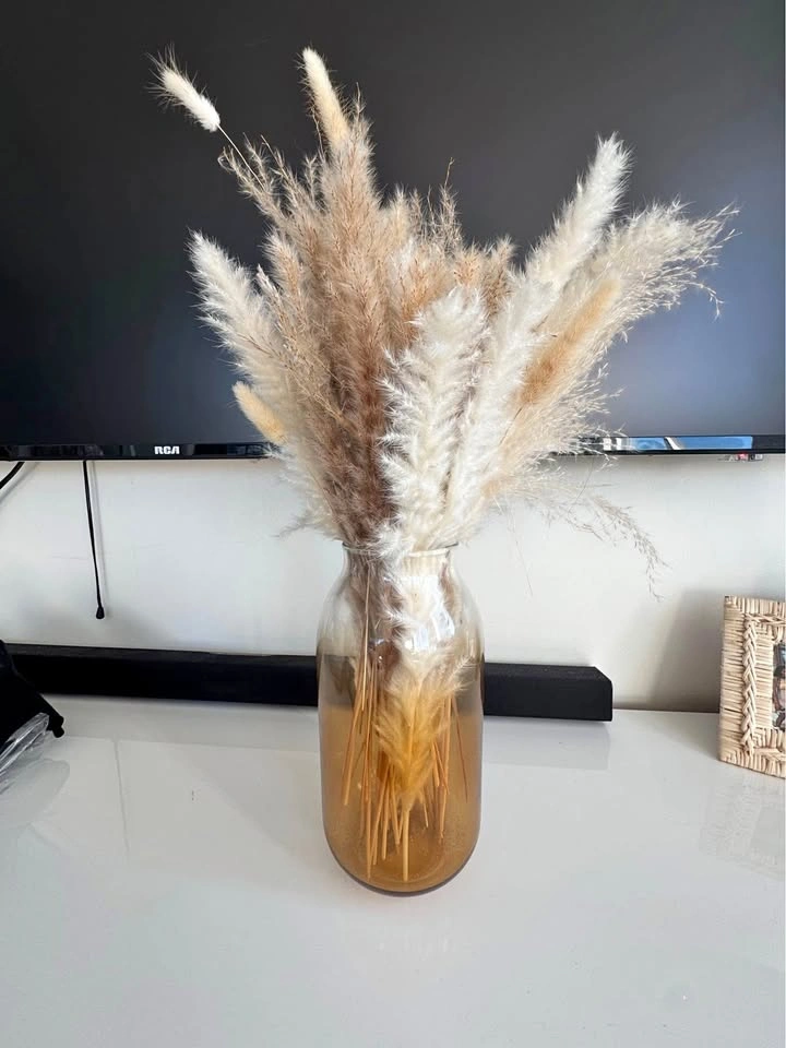 Vase with Pampas Grass
