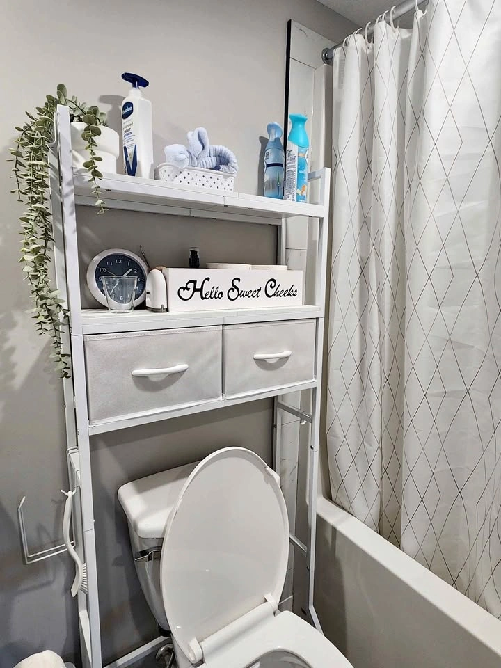 Toilet Storage Cabinet - Moving Sale