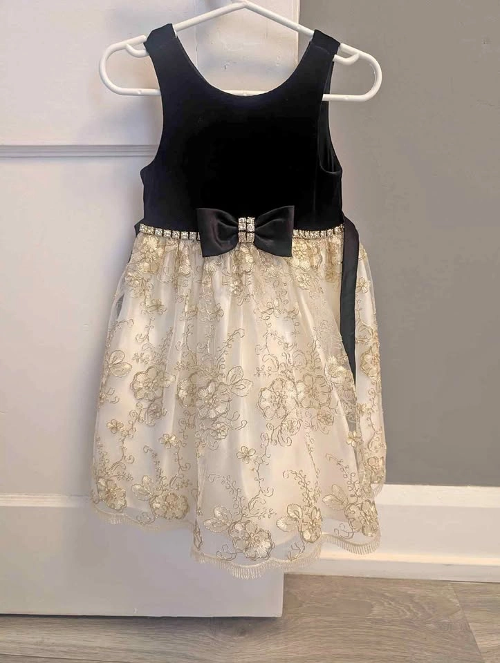 Fancy Toddlers Dress for Girls size 2T