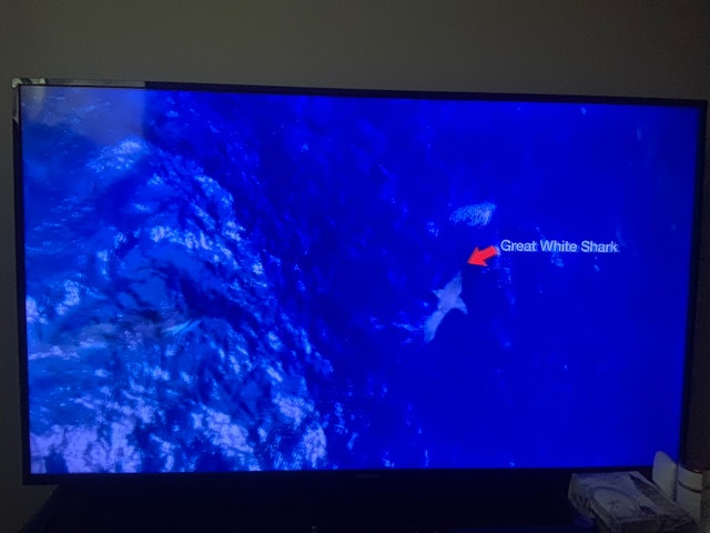 50 inch Smart TV - photo 4