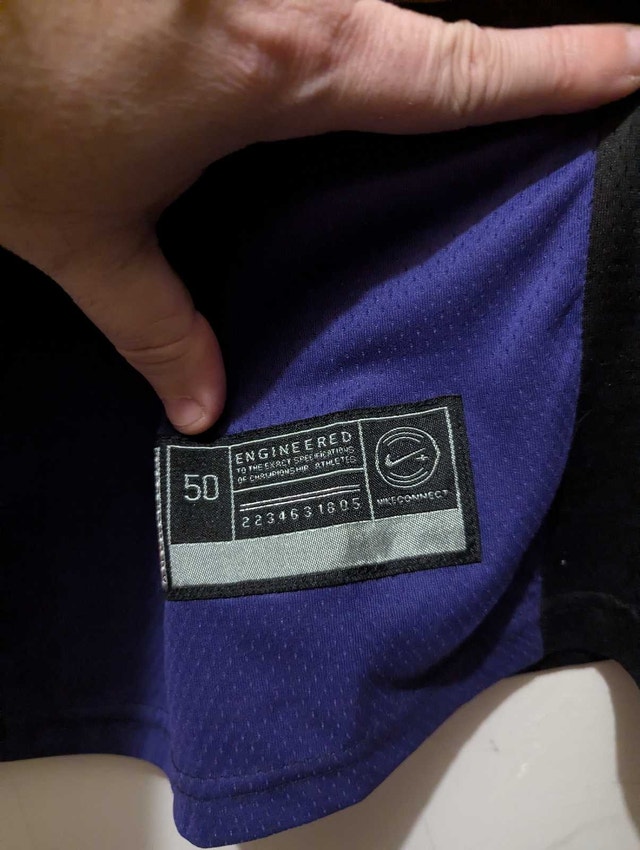 Toronto Raptors NBA Jersey by Nike - photo 2