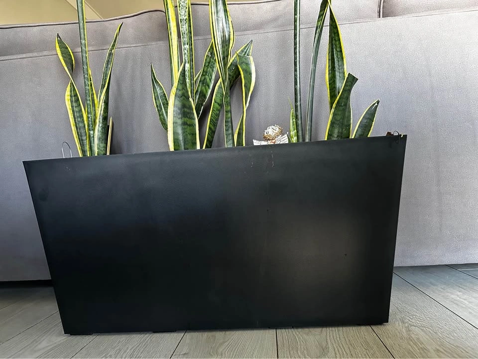 Planter box with healthy Snake plants - photo 4