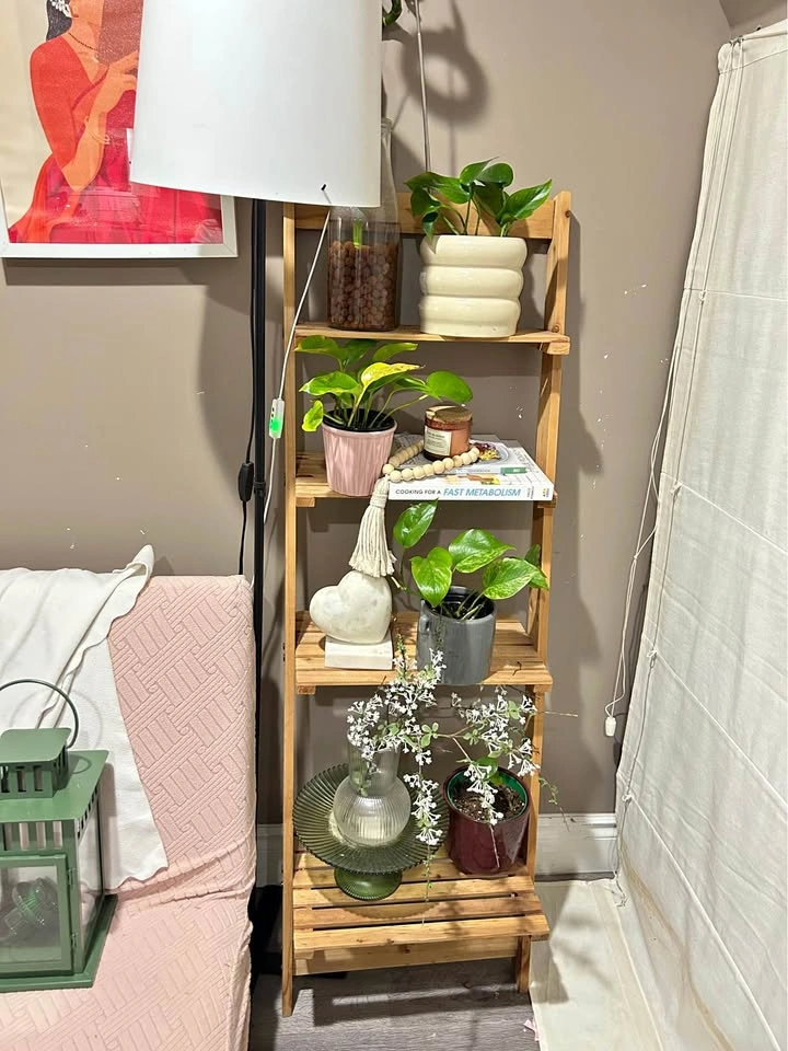 Ladder Shelf/Bookshelf