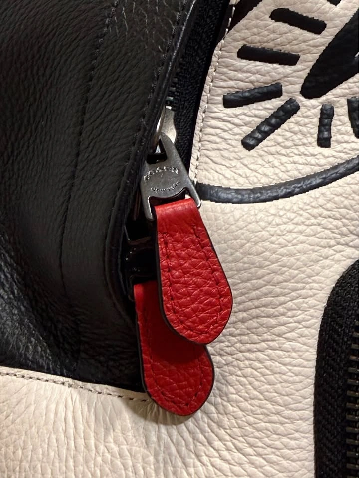 RARE Limited Edition Coach x Disney x Keith Haring West Backpack - photo 4