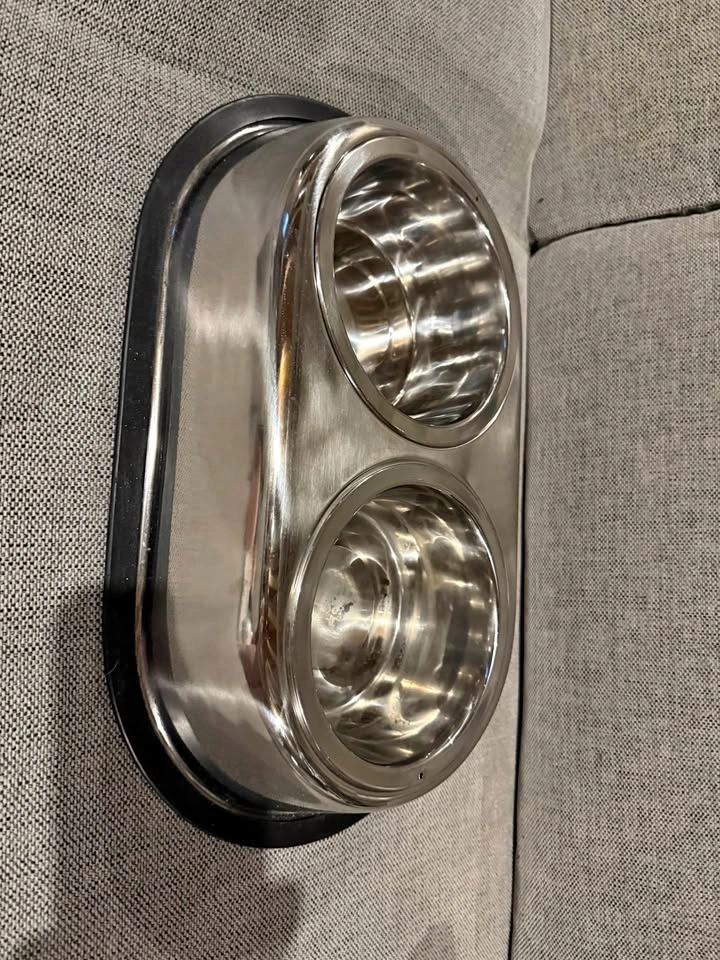 Dog bowl - medium size