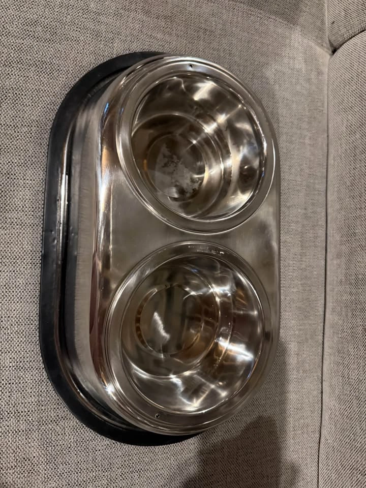 Dog bowl - medium size - photo 3