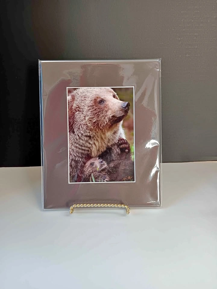 Grizzly Photograph