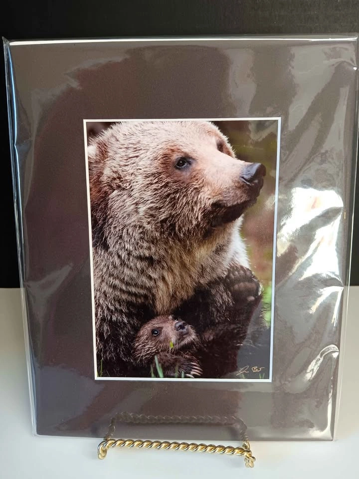 Grizzly Photograph - photo 2