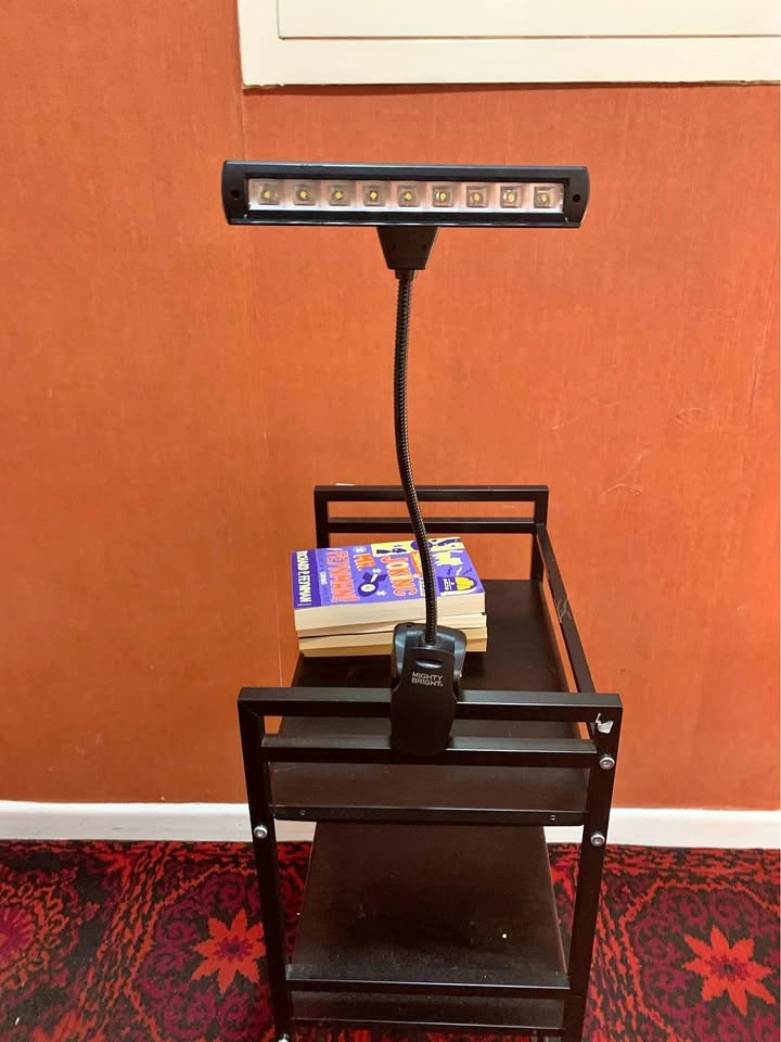 Mighty Brite 53510 LED Music Stand Light